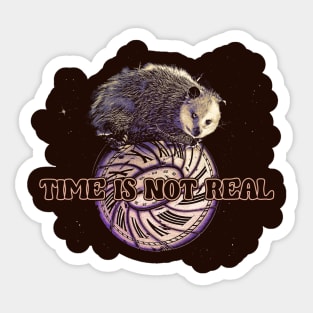 Time Is Not real - Funny Possum Meme Sticker